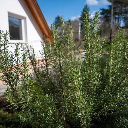 Inspiral Peaceful Retreats Kismaros